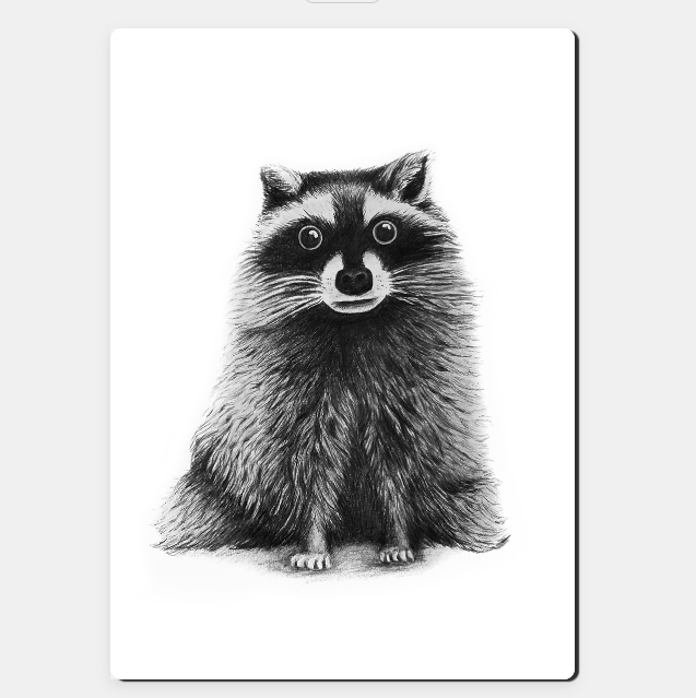 Racoon Print