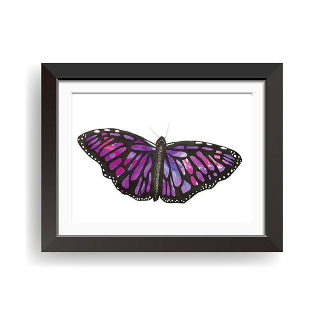 Butterfly Prints