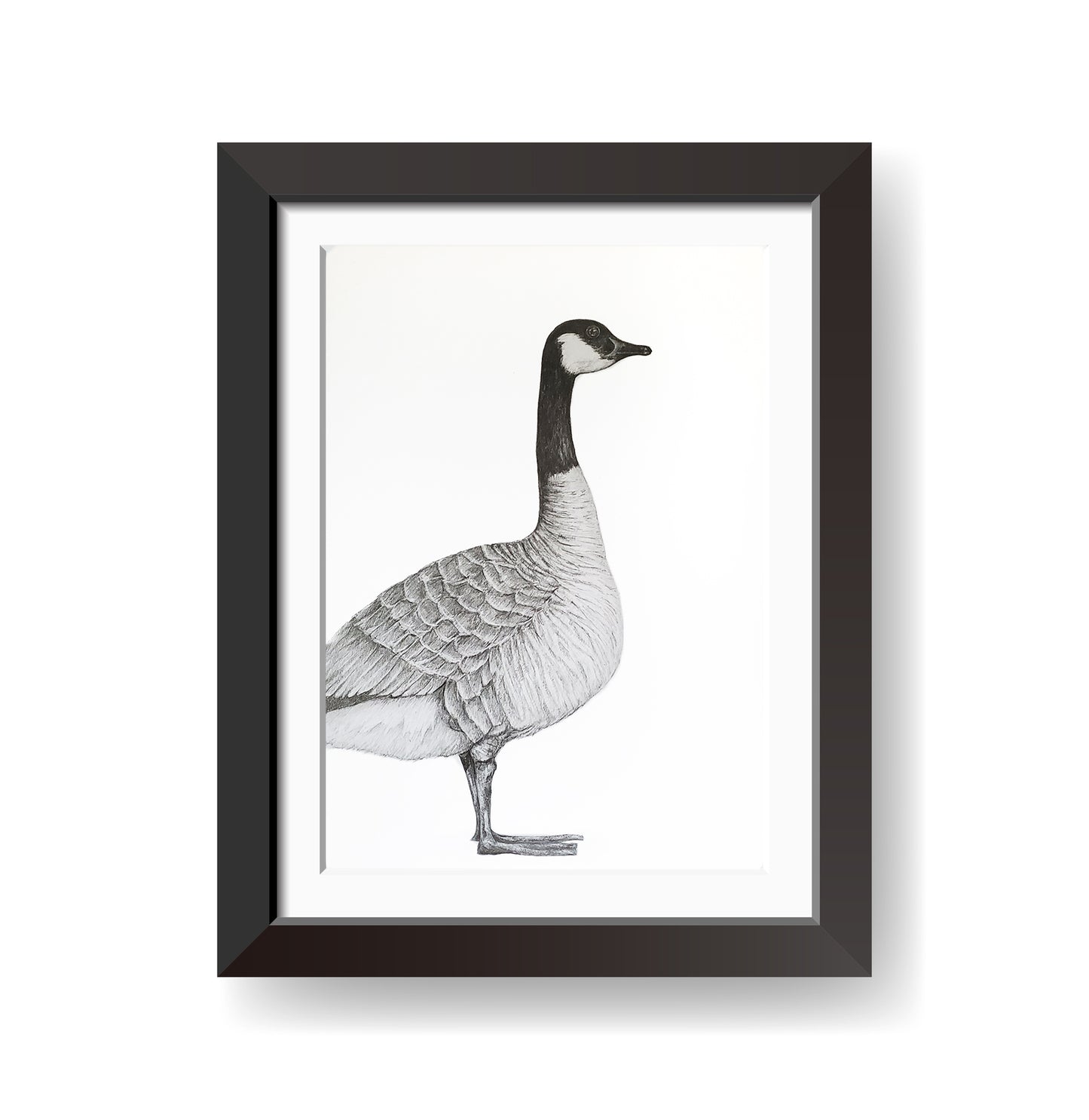 Canadian Goose Print