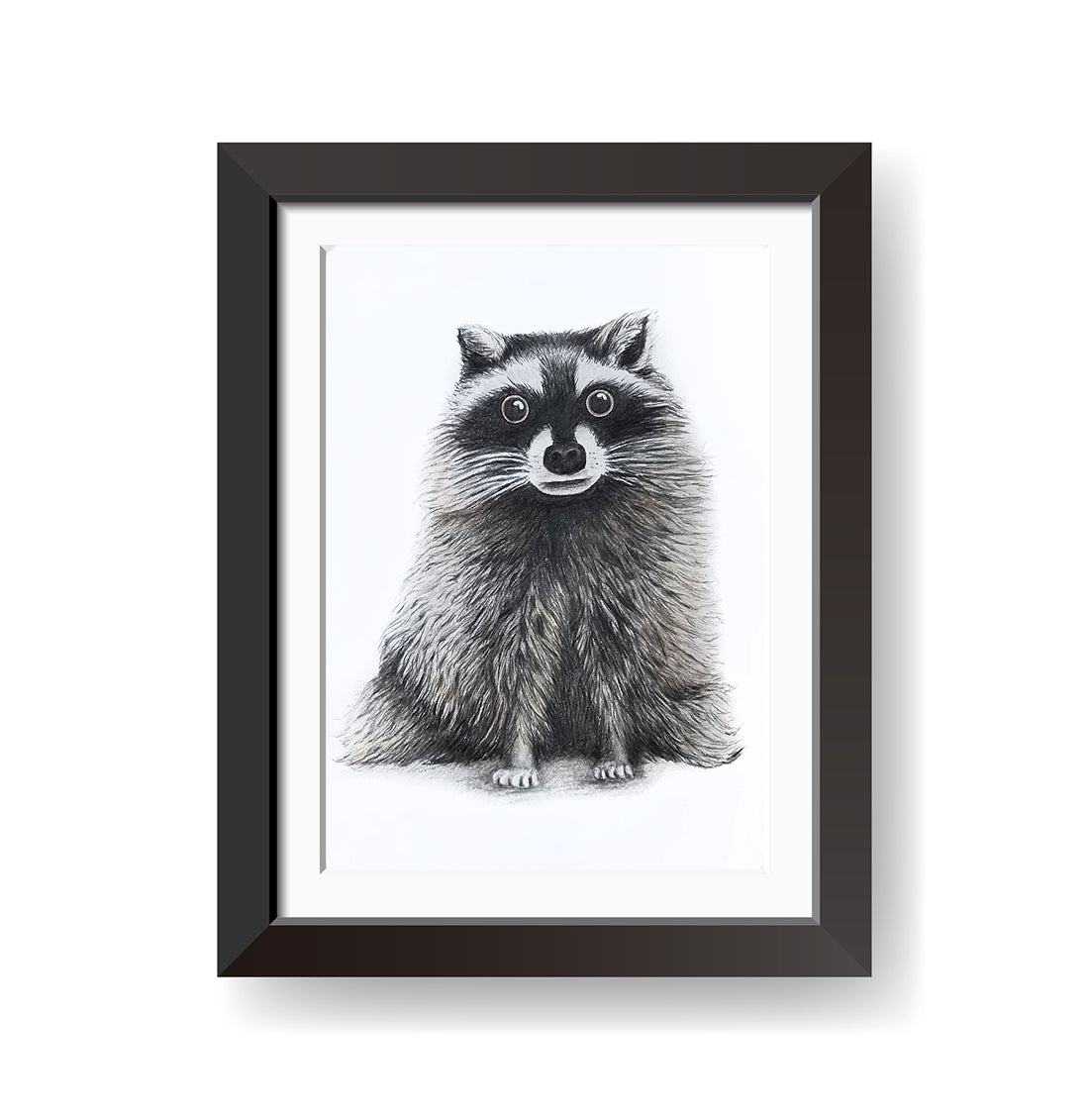 Racoon Print – Impressionable Palette